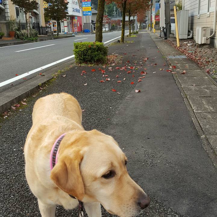 F9204be9 4132 4b9d 92bf db21e8669a92