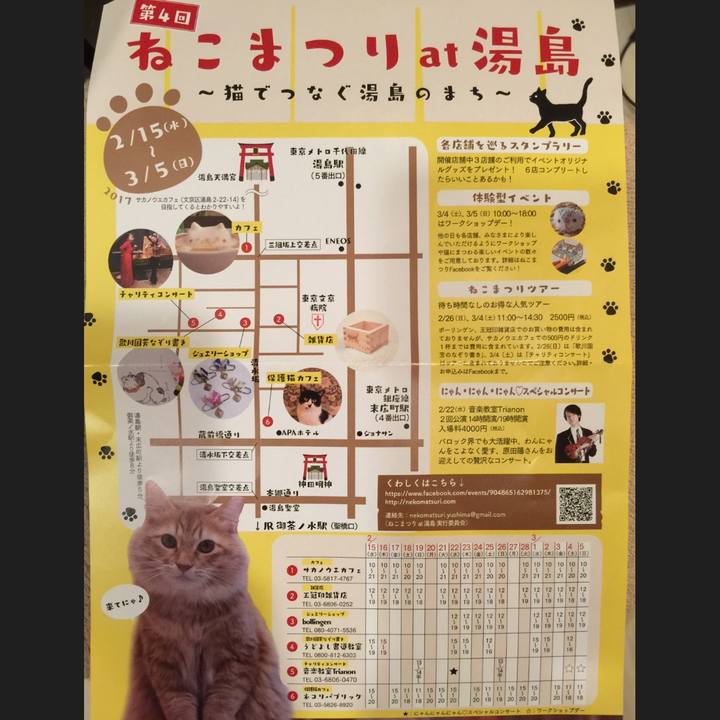 F920b508 259b 491c ab6f a1589ffa09f0