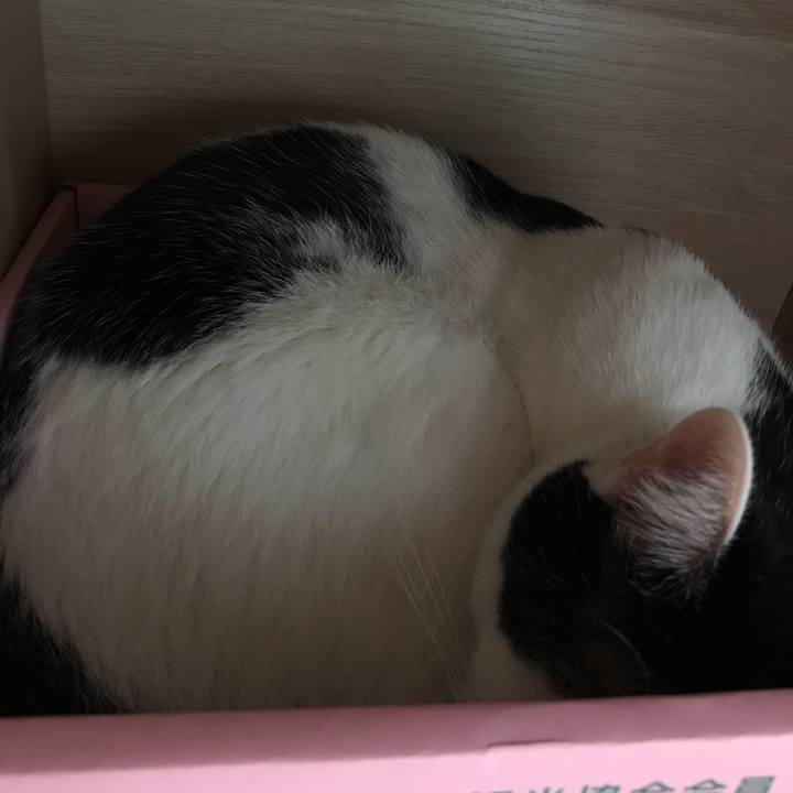 F9210d7f 5efc 428d 9f17 feb2cf8881d4