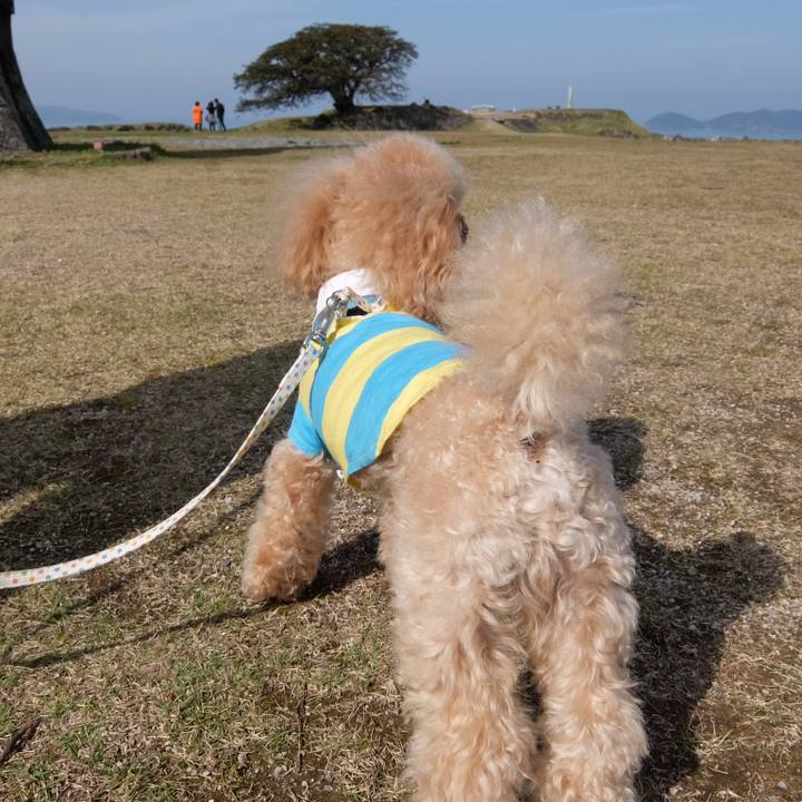 F92113e6 b984 4a48 9e94 035f153945a6