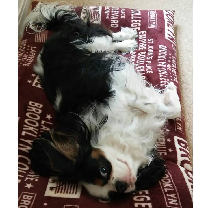 F9213310 aa51 401c 87a0 7de3400f683a