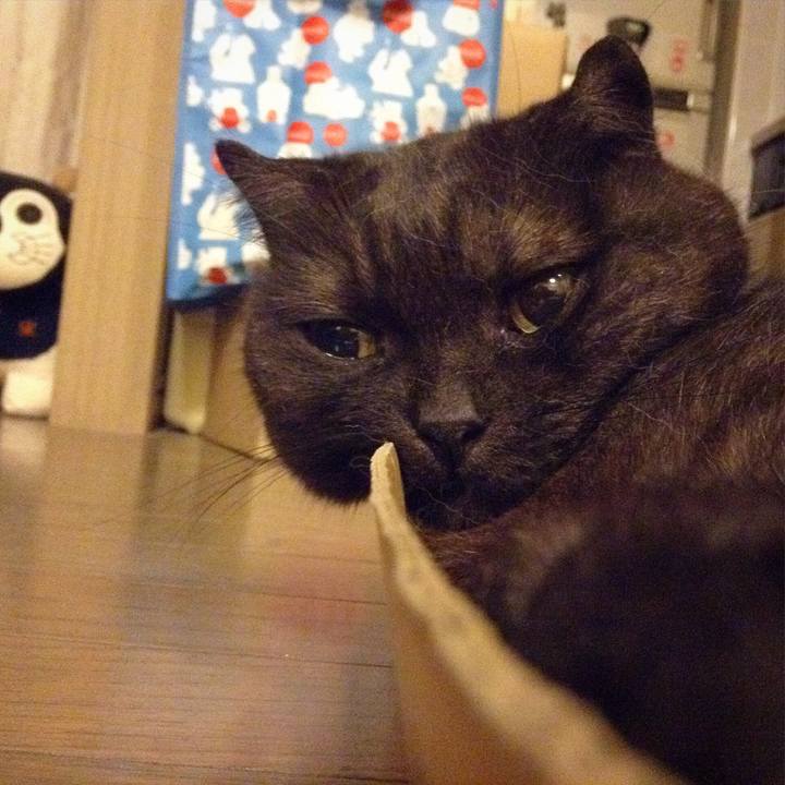 F9214c44 8f59 4153 9fca 9564ad1e6617