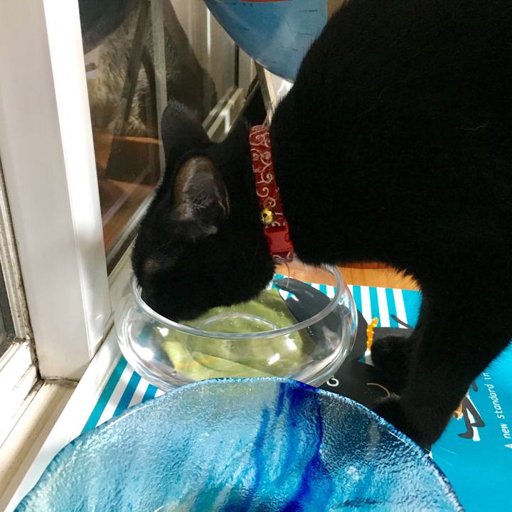 F921b6b5 bb92 4875 8644 c6f7884c2ef6