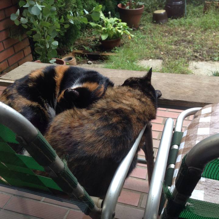 F92249be 9b5c 4ecd b0e7 59906496950b