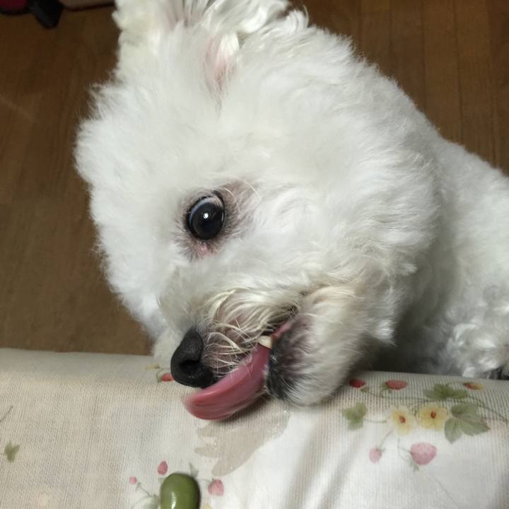 F922a3be 92e7 4fc7 b74b 758054fff7d0