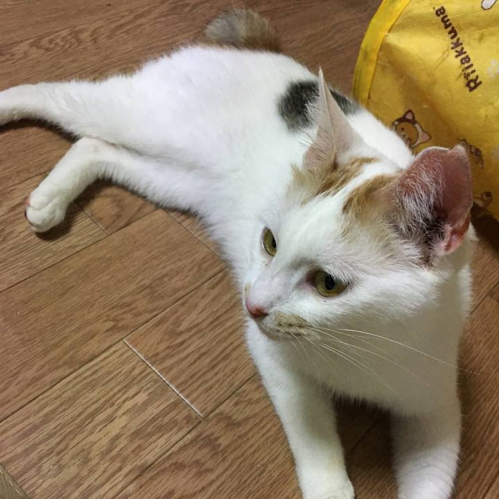 F922b7e5 ea75 4281 affb 612029fc9d33