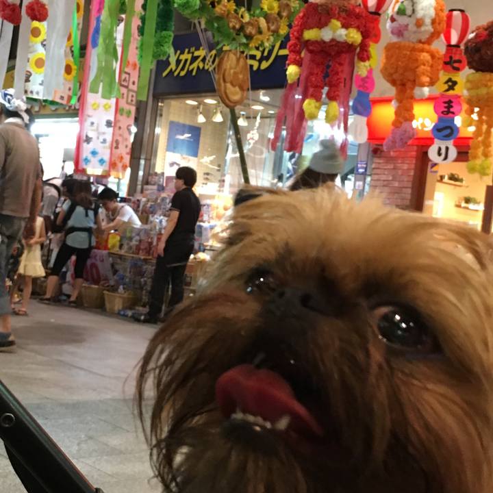 F922de41 d0f0 4017 a966 7c14fcb51968