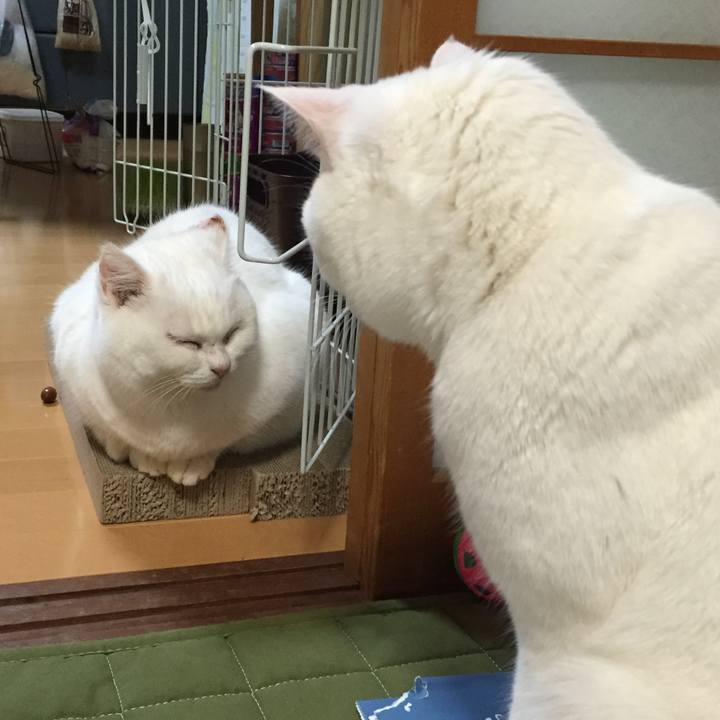 F923d84c 2de7 4445 8dd2 9df4e9d98e30