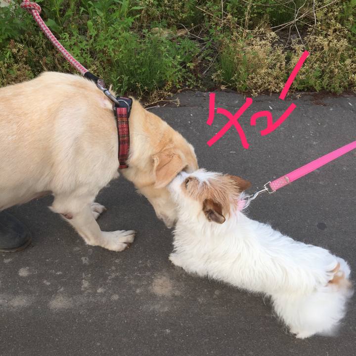 F92402da fb94 476a 8f90 432d512387a1