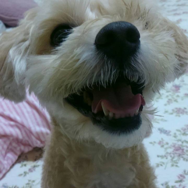 F9242081 5965 4860 9382 97de74d66512