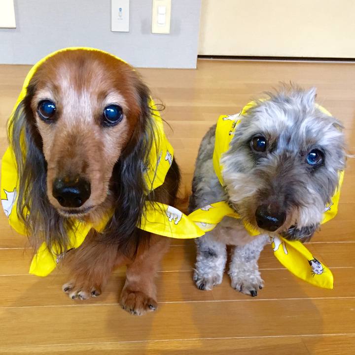 F9244483 ebf5 40bc a24a c361f0d82e93