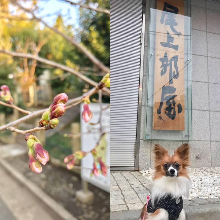 F92485ed 0cff 4603 a723 9416b4e34920