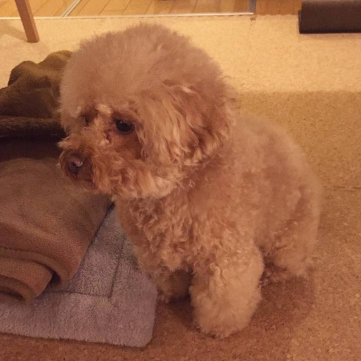 F9249a26 0545 4401 abd0 66efb50c71df