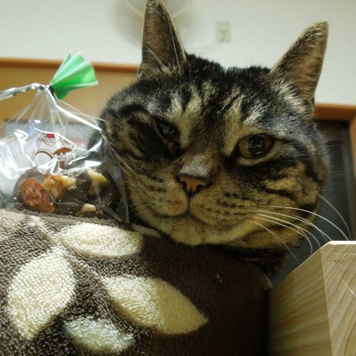 F924aa12 531c 442a 9611 57b800b2d007