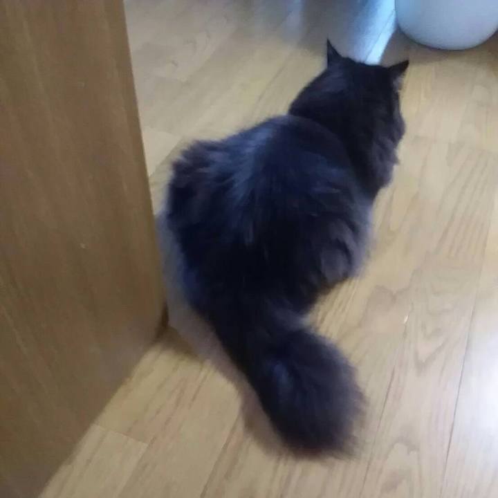 F924b95d 1c92 478f 94f0 3f6b3ad90144