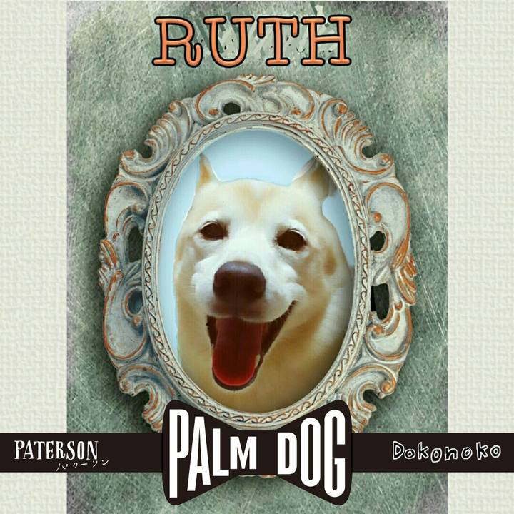 F9251118 0913 40ff a6d3 70edab3db078