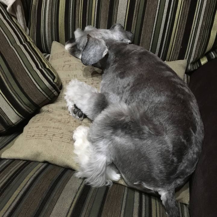 F9252d8a 0433 42a8 8894 2a18b1c8b732