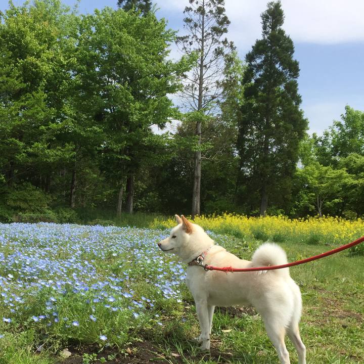 F9256d17 b62f 4c16 8310 c446b9c93db7