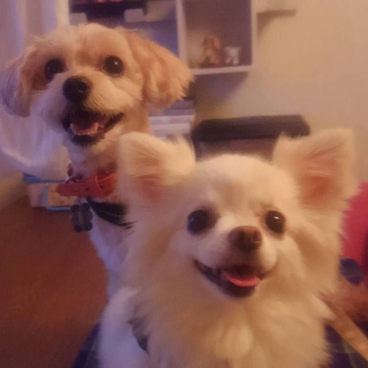 F92670ff 7a52 4e8f b722 af9d2dcdab10