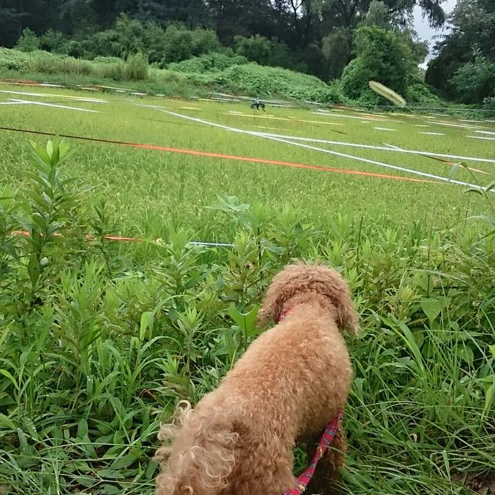 F9270f90 b438 499a 9d6a 691ee61010cb