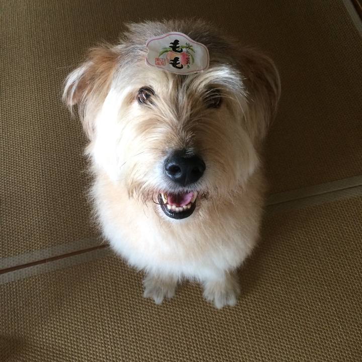 F92726fa 596d 4eb9 8bf0 bfe83a9cad28