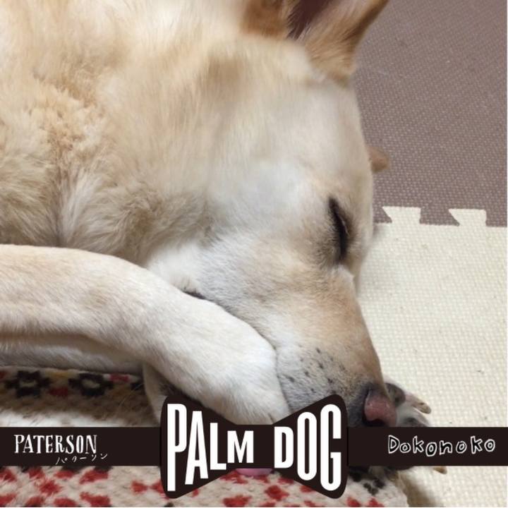 F927428d 19dc 4a89 b569 b086a3592af8