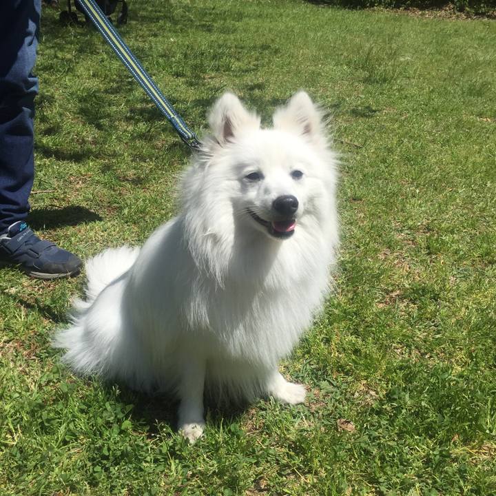 F9274571 275b 4232 8815 432af9eb426b