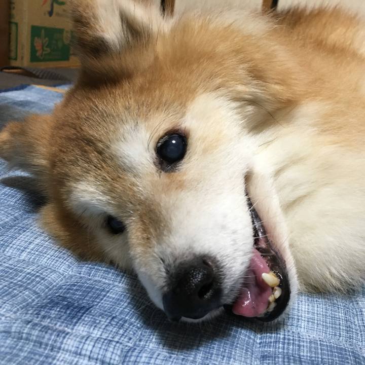 F927568d 4f9c 4a07 a2da 910fb6d3938f