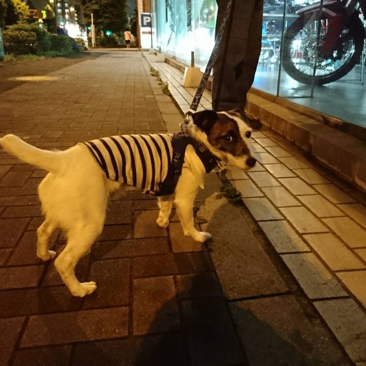 F9289457 ecd2 4ca4 ae32 3c2418b4ee85