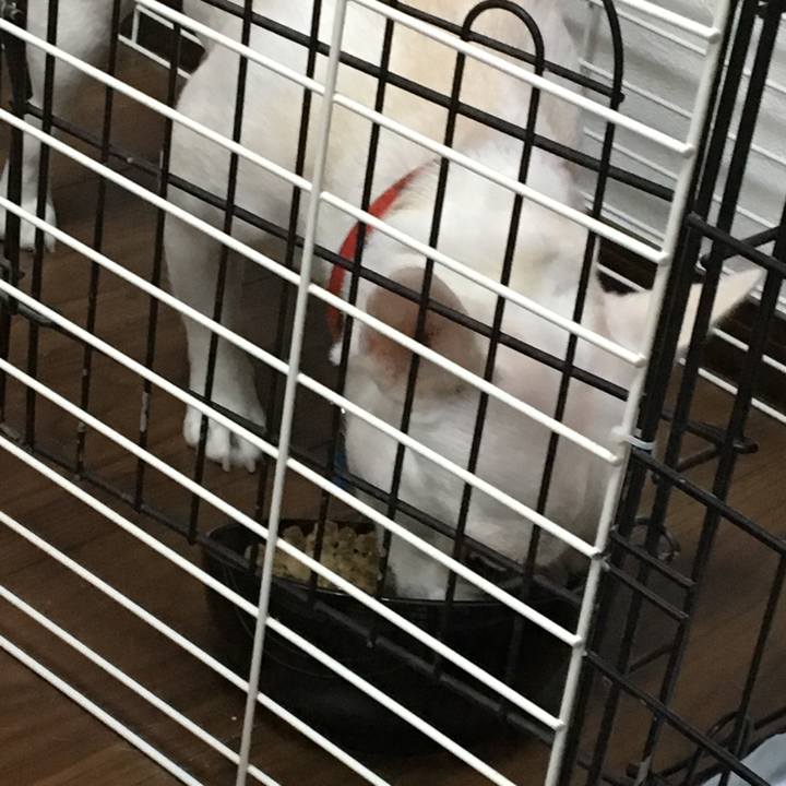 F928976e b5a5 44dc a6e9 ea3003ceeb7a