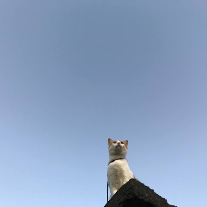 F928c915 17b7 47fe a87a 4bf14a59d324