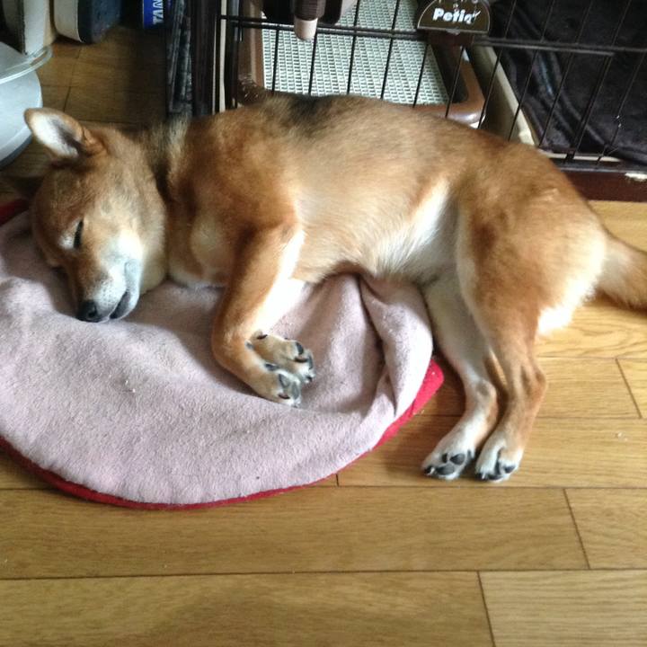 F92946d7 71b6 4cbb bd3b 9cffda975bd0