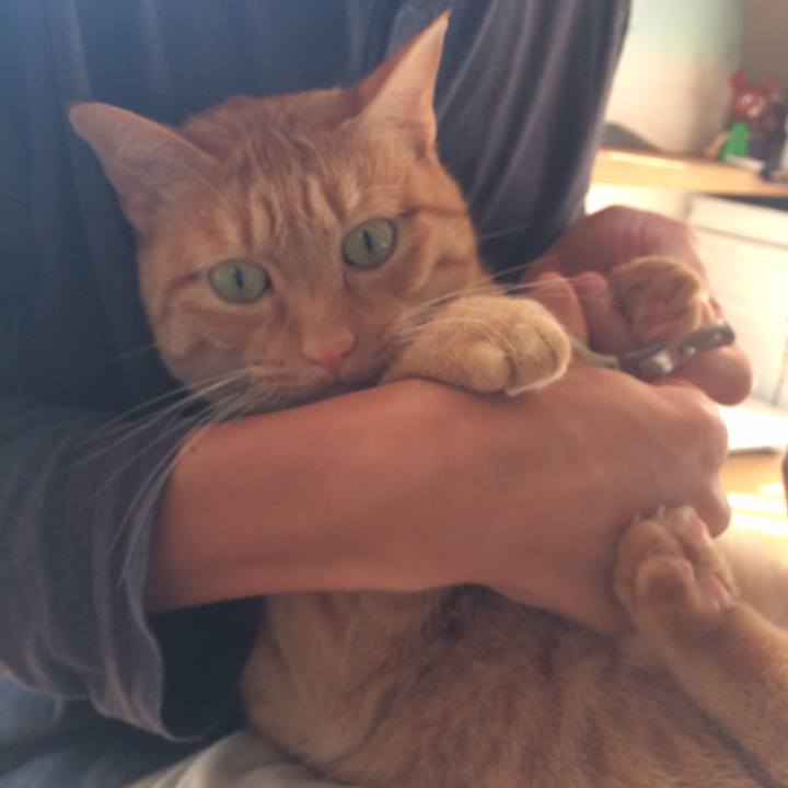 F929bc1b 1218 45b6 86ef 8ca59d7da229