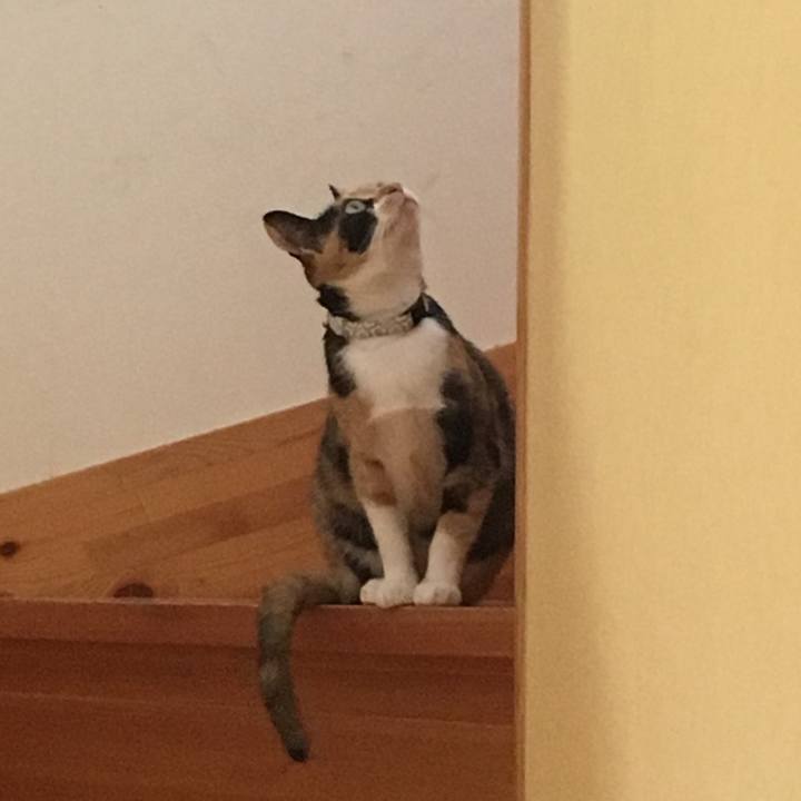 F929e47e 16e5 4e43 89ed 4150930fd231