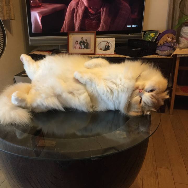 F92a1729 8690 43ea 9a6b af6226251e6e