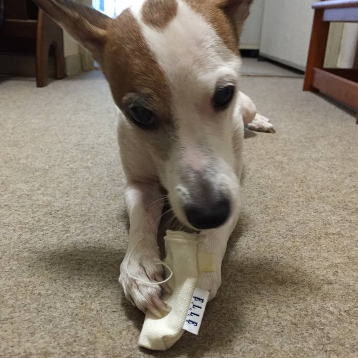 F92a8c28 7c47 47df a323 3e3060d7e1d2