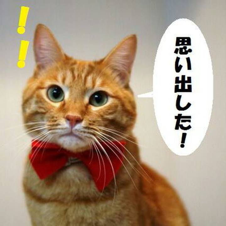 F92af83b 84a2 4ffb ada3 1242acb5d4d7