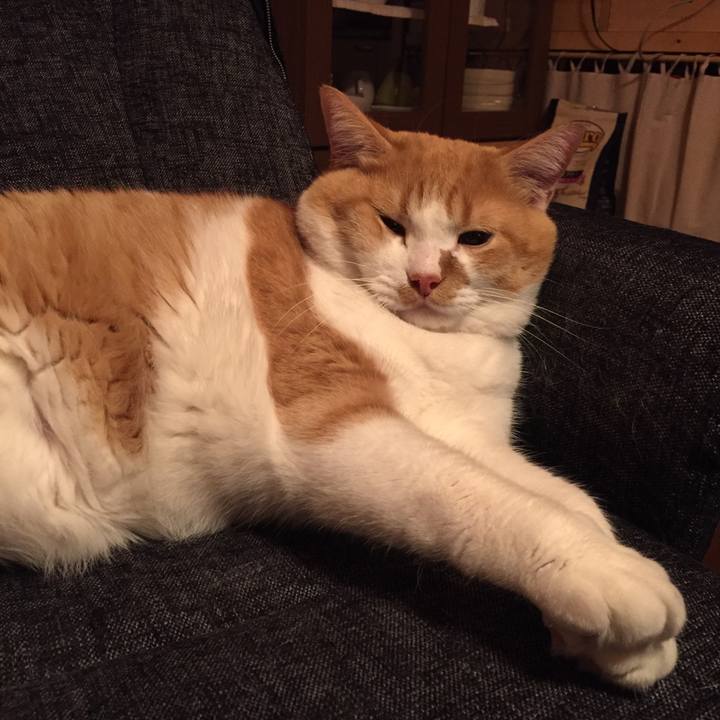 F92bc93f e139 44d0 990c ed4d0646691d