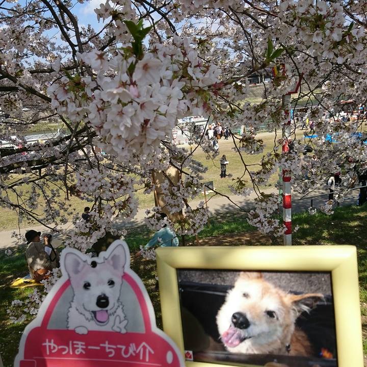 F92cfed4 d3de 4417 a6d3 82381241c2ec