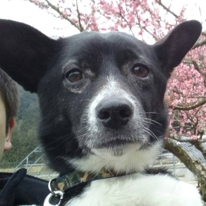 F92d063e 2eae 4d34 bba3 a1386737b590