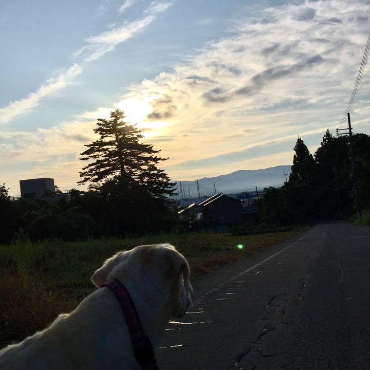 F92d1732 2562 489a ab2c 2abe50f264de