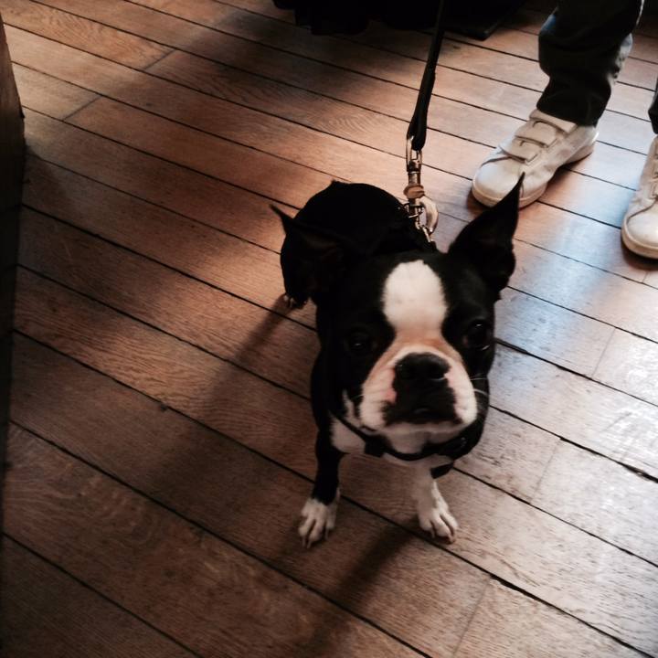 F92d238e 1ab4 4e76 9ee7 89362f874de7