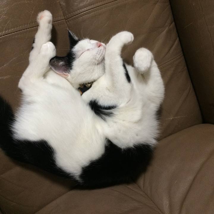 F92d4202 607c 48b7 8a64 0c0a779cdcf4