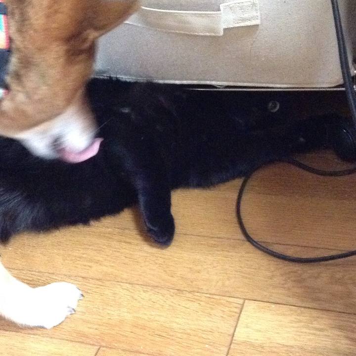 F92ddd9a 3938 4a92 8ce3 bbcd541510ca