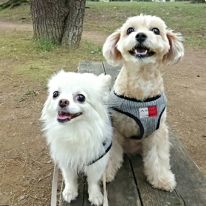 F92e33af 4f3e 41c0 a170 9646d8d86e15