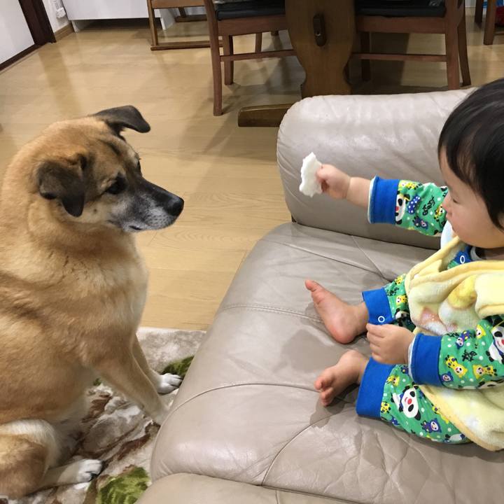 F92e3fcf 70c0 42eb 8099 32284ff0ff96