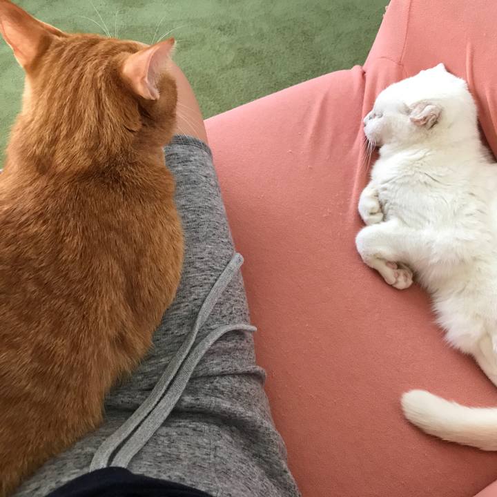 F92e9a44 ba24 457b bf04 feb85ed63cf4