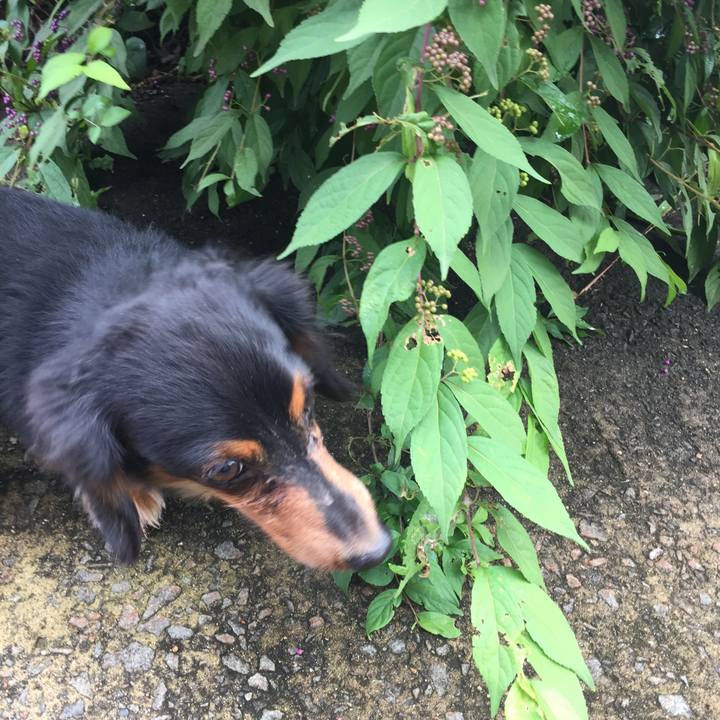 F92f156a 374b 400e 80f6 7ec16938b69a