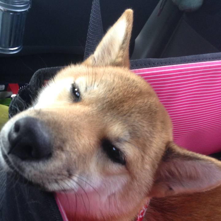 F92ff821 0b9c 49ec 823f ca83a5db9bfb