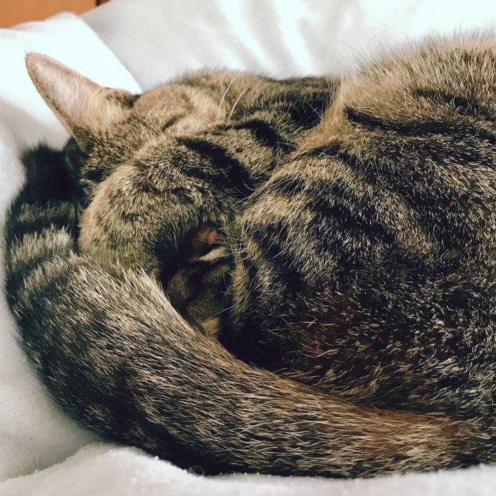 F930122e 41a0 41cb b1f7 8ed645709bf3